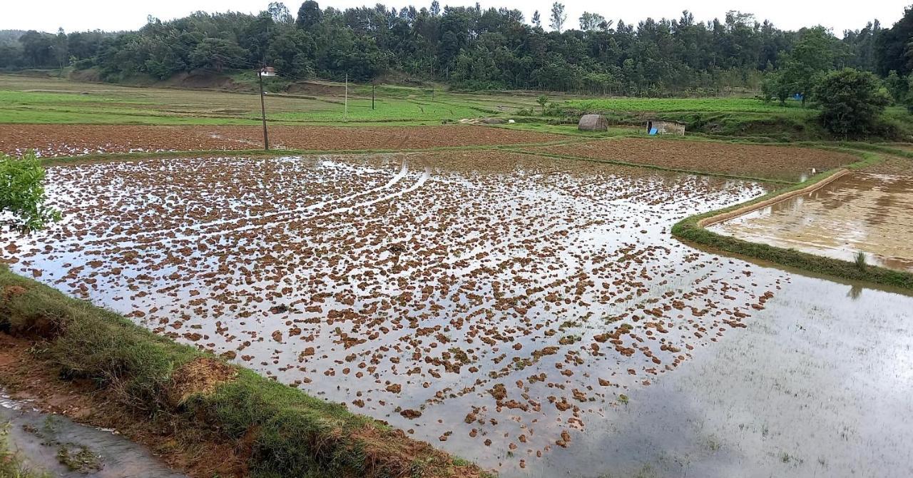 Coorg Coffee Park Farmstay Somvārpet Exterior photo