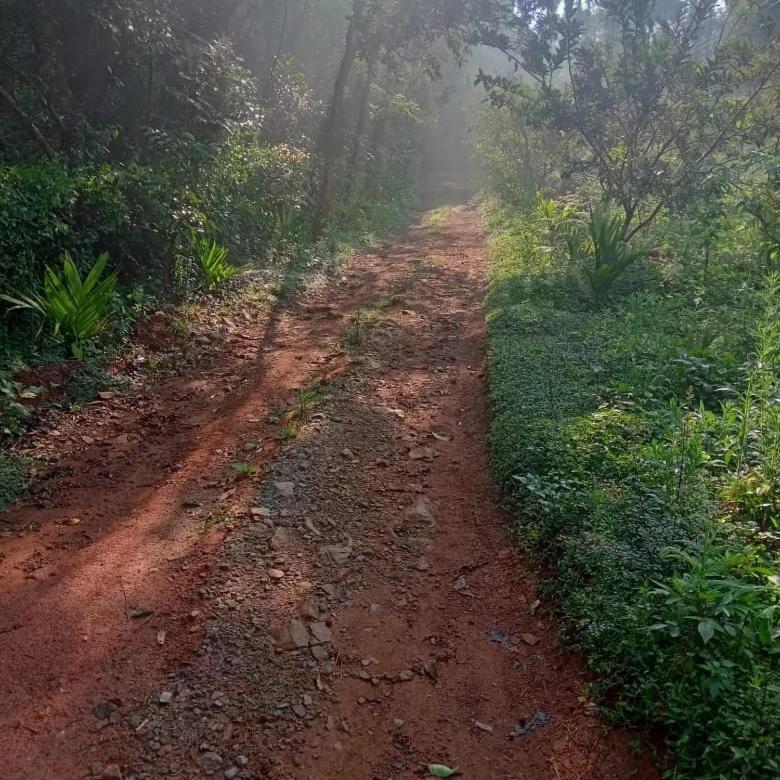 Coorg Coffee Park Farmstay Somvārpet Exterior photo