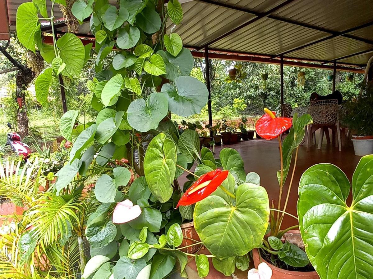 Coorg Coffee Park Farmstay Somvārpet Exterior photo